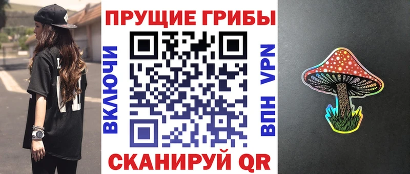 купить закладку  Советская Гавань  Галлюциногенные грибы прущие грибы 